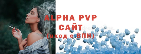 стаф Вязьма