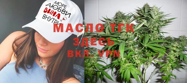 стаф Вязьма