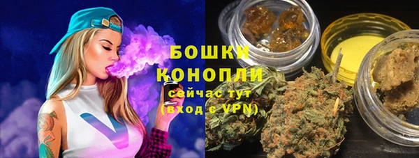 мдпв Володарск