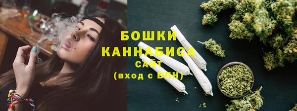 мдпв Володарск
