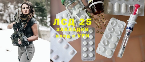 стаф Вязьма